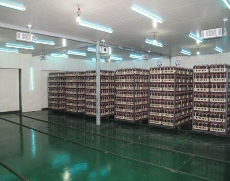 食用菌培養(yǎng)室