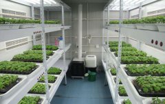 培養(yǎng)架型人工氣候室非常重要的五大特點