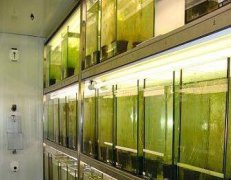 人工氣候室技術(shù)指標指的是哪些