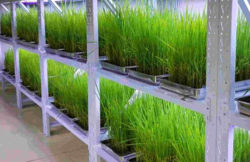 人工氣候室設(shè)計