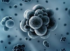 30萬級潔凈間的微塵限度是多少？