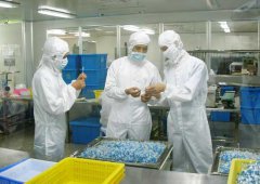 食品企業(yè)凈化車間工作環(huán)境規(guī)定