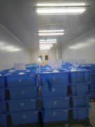 無塵車間布局的設(shè)置要點