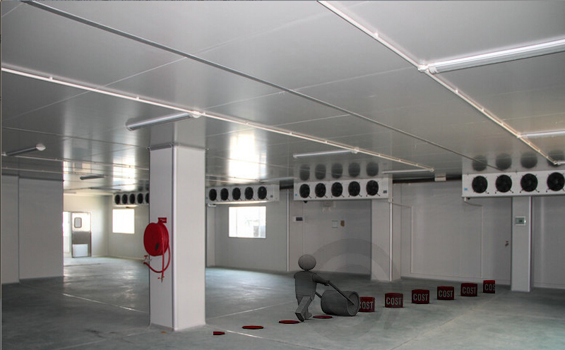 建一個(gè)標(biāo)準(zhǔn)潔凈冷庫(kù)需要多少錢？