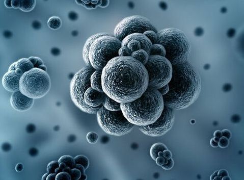 30萬(wàn)級(jí)潔凈間的微塵限度