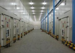 江西萬年農(nóng)業(yè)科技園保鮮冷庫建造案例