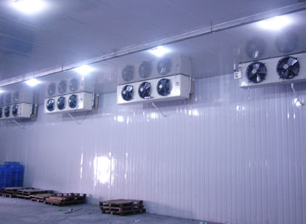 冷庫(kù)工程現(xiàn)狀及未來(lái)發(fā)展趨勢(shì)