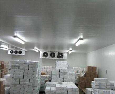 大型冷庫造價(jià)