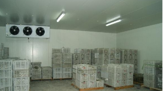 大型冷庫(kù)設(shè)計(jì)