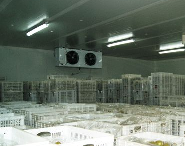 大型冷庫設(shè)計