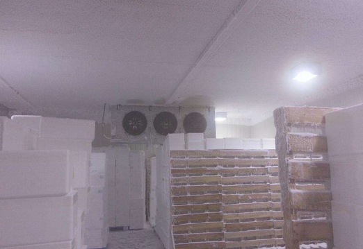 冷庫(kù)工程設(shè)計(jì)公司