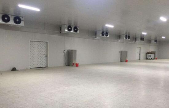 冷庫(kù)工程建造