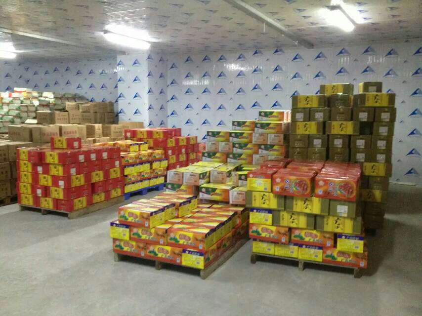 冷庫設(shè)計(jì)方案