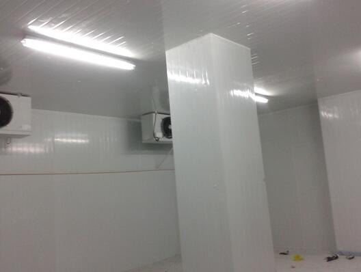 醫(yī)藥冷庫(kù)建造