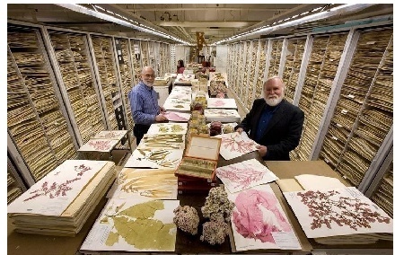 恒溫恒濕標(biāo)本倉(cāng)庫(kù)建設(shè)