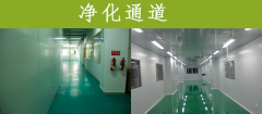 無(wú)菌實(shí)驗(yàn)室 凈化通道很重要