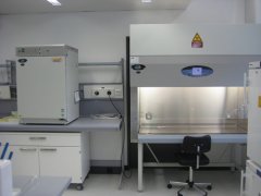 什么叫P2實(shí)驗(yàn)室？