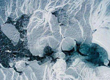 國內冷凍庫安裝業(yè)將進入瓶頸預期