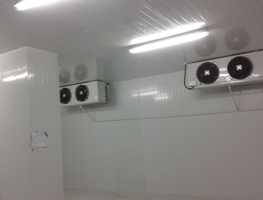 水果冷庫設(shè)計