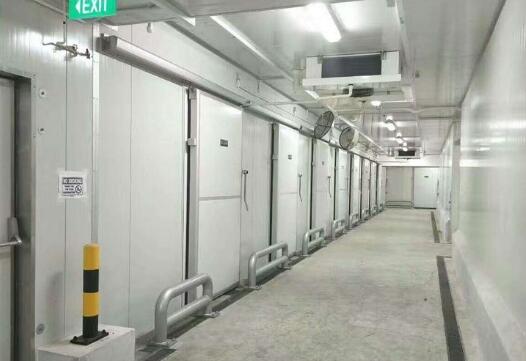 冷庫(kù)工程公司