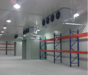 大型冷庫設(shè)計