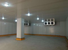 蔬菜太多存不住？蔬菜冷庫有方法