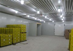 建一個(gè)冷庫(kù)需要多少錢(qián)？影響冷庫(kù)價(jià)格的因素