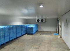 冷庫安裝要考慮到進(jìn)出門的尺寸和方向