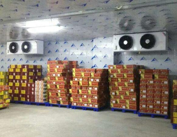 冷庫(kù)安裝設(shè)計(jì)