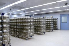 簽約廣東威科質(zhì)量檢測公司實驗室工程項目