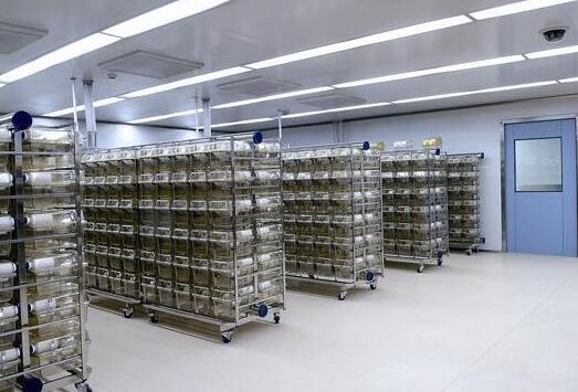 實(shí)驗(yàn)室工程