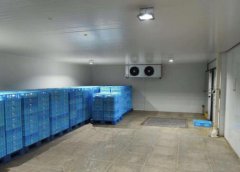 冷庫設(shè)計(jì)的基本框架