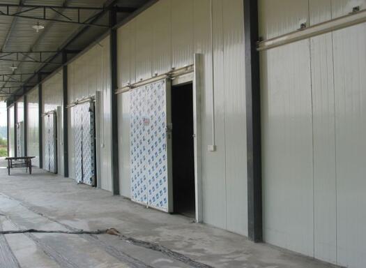 冷庫(kù)工程公司